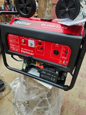 Delmar Petrol Generator Model 6500e2 Key Starter