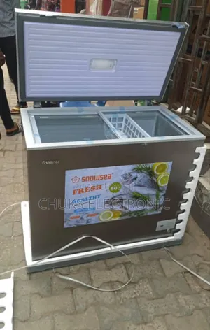 Snowsea Freezer 300l