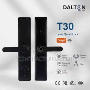 Luxury Handle Smart Door Lock Fingerprint Recognition