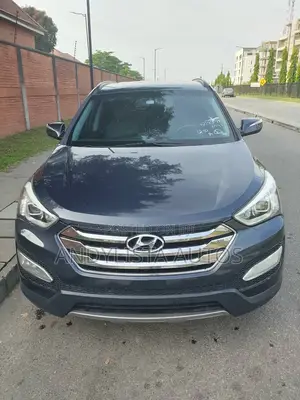 Hyundai Santa Fe GLS 4dr SUV (3.3L 6cyl 6A) 2014 Blue