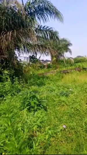 Plots of Lands Available at Ilufape Town
