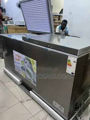 Snowsea 520l Commercial Bd-700g Freezer With Heavy Cooling