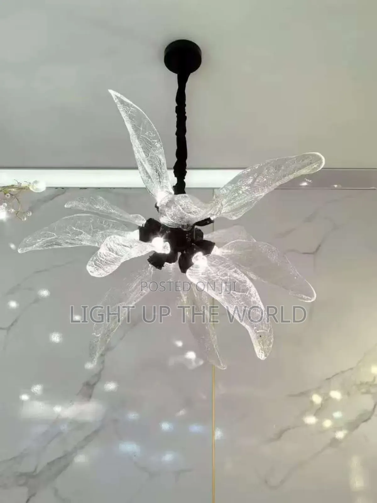 Delicate Chandelier