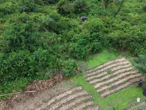 Prime Real Estate Plots for Investment!