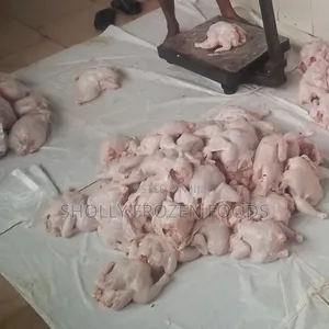 Chicken Cut 4 and Whole Chicken