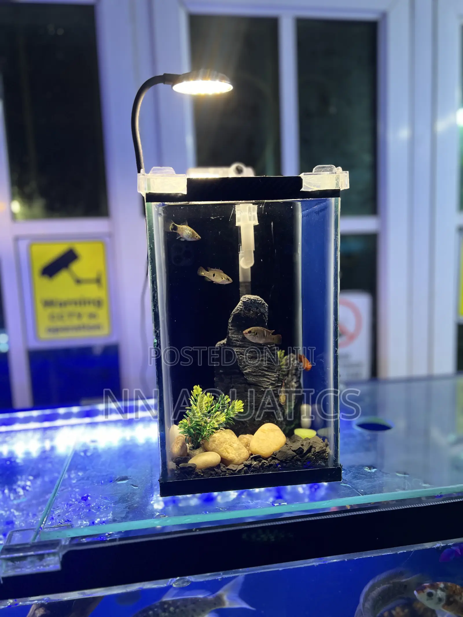 Nano Aquarium