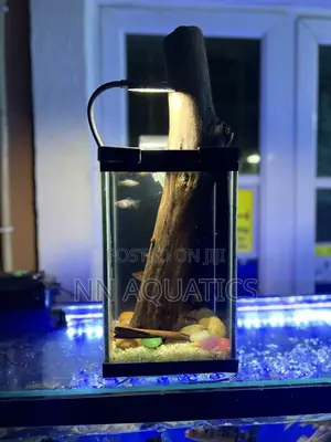 Nano Aquarium