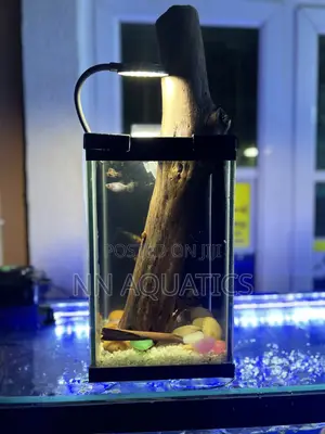 Nano Aquarium