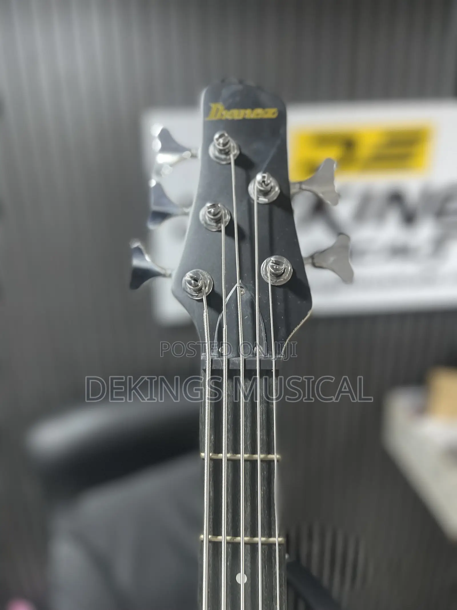 Ibanez Passive 5 Strings Guitar