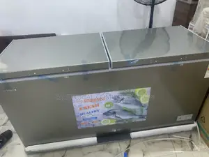 Snowsea Bd-700 Deep Freeze for Commercial Use