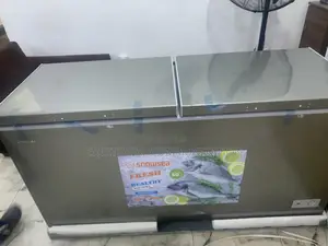 Snowsea Bd-700 502-Liter High-Capacity Freezer