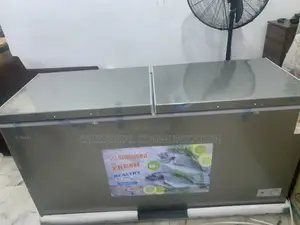 Snowsea Bd-700 Heavy-Duty Storage Freezer
