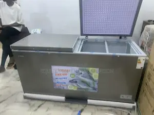 Snowsea Bd-700 Professional-Grade Freezer