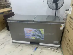 Snowsea Bd-700 High-Capacity Home Freezer