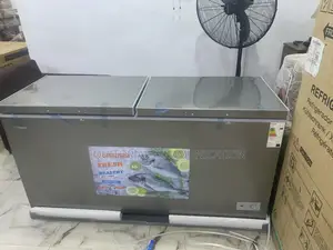 Snowsea Bd-700 High-Performance Chest Freezer