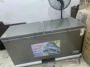 Snowsea Bd-700 Deep Chest Freezer for Home Business