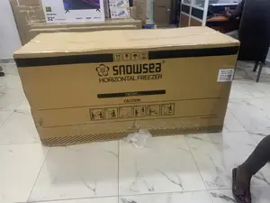 Snowsea Bd-700 Deep Chest Freezer for Home Business