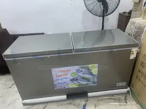 Snowsea Bd-700 Deep Freezer With Mechanical Thermostat