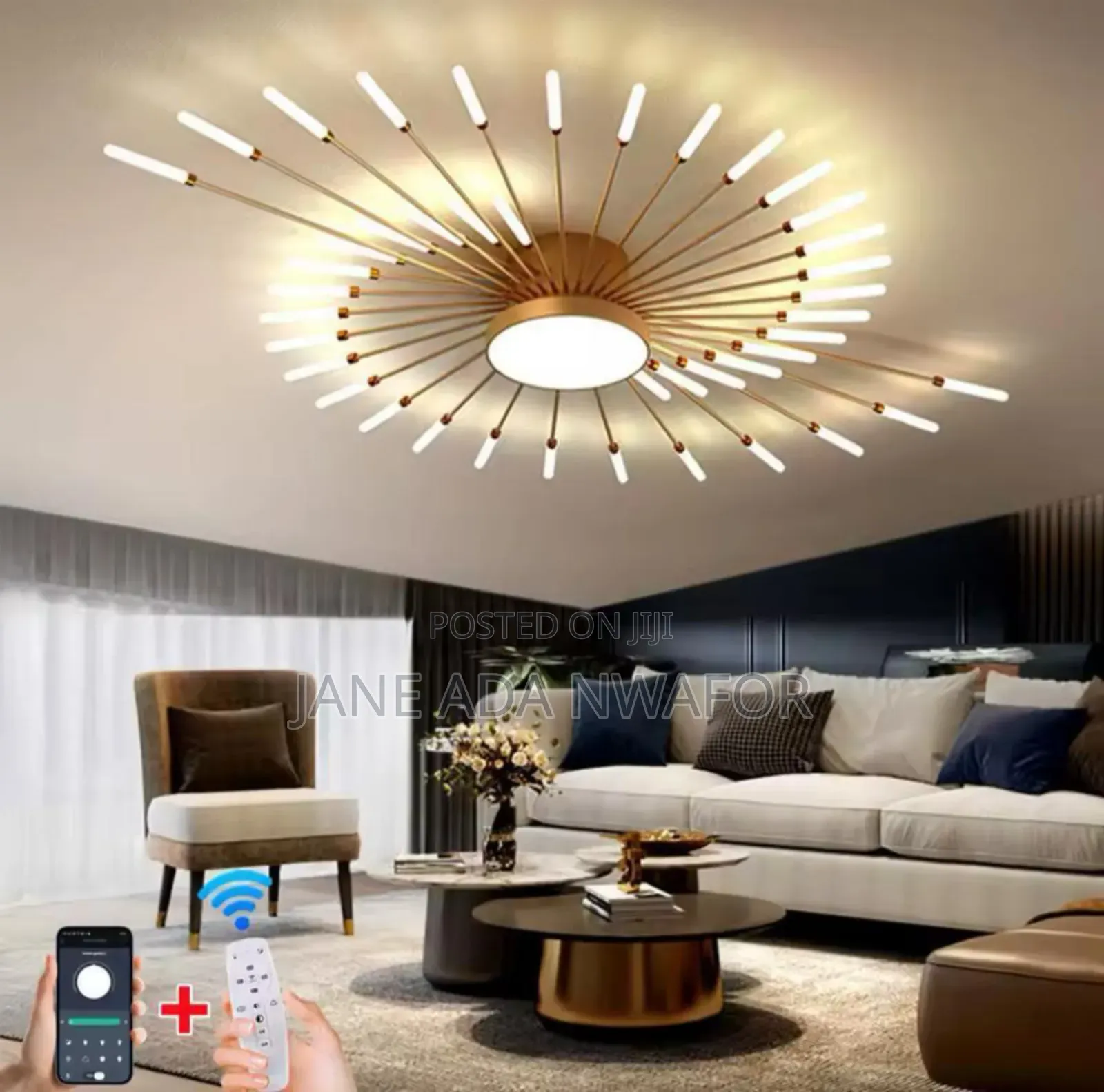 Zaima Unique Chandelier Light