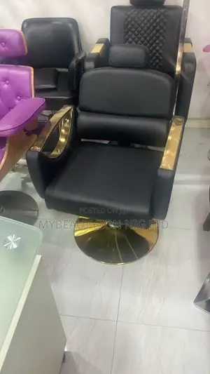 Stylish Gold Plated Unisex Salon Chair