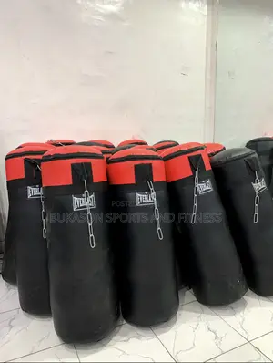 Everlast Punching Bag