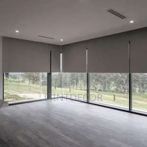Remote Controlled High Grade Roller Shades Blinds