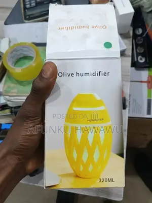 Air Humidifier Usb Electric Aroma Diffuser