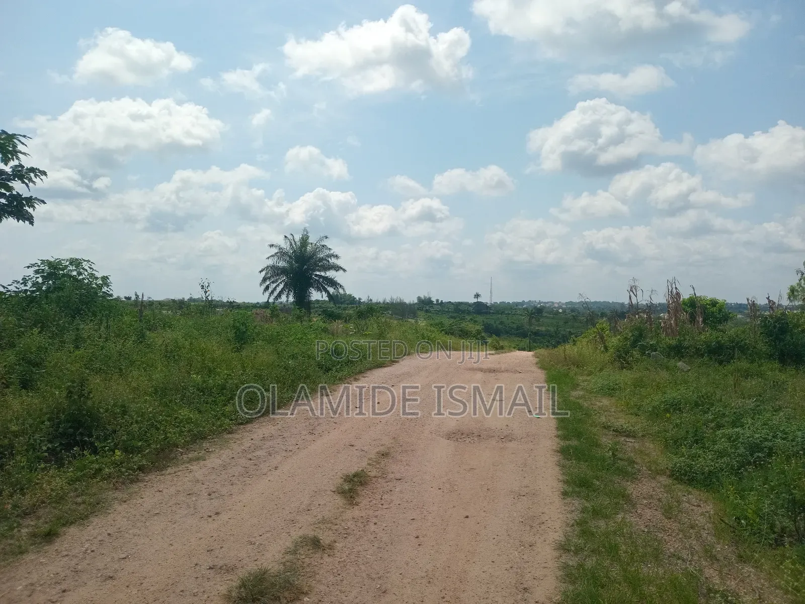 2.8m/Plot (4acre)