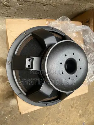 18inches Naked Speaker