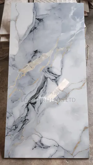 Floor Wall Tiles in 18d 60x120