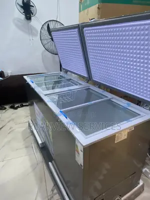 Bd700 Snowsea Chest Freezer With Dual Doors