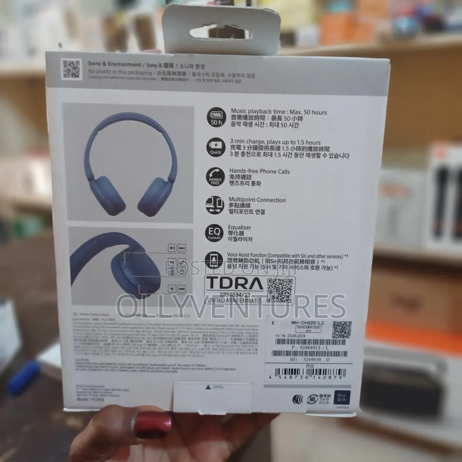 Sony Wh-Ch520