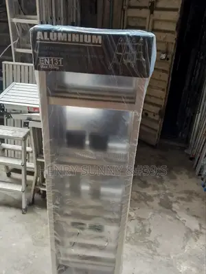 Aluminum Ladder 131