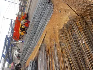 Standard Eagle, Lion, Lci, Psl, Phx, Sfs, And Top Tmt Iron Rods Rebar