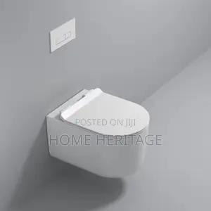 Concealed Toilet