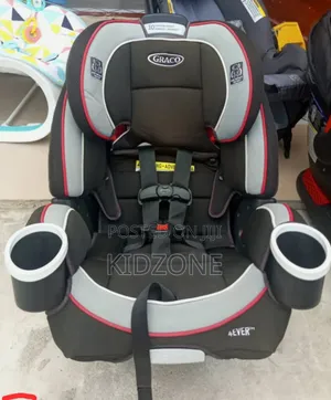 Infant to Toddler Carseat