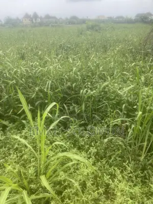 Land for Sale in Benin