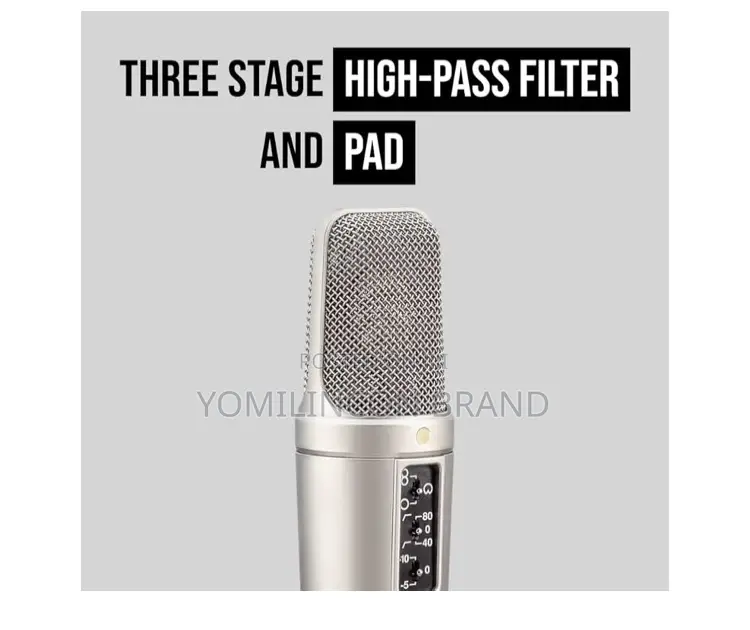 Rode Nt2-a Studio Solution Microphone, Silver, Wired, Singing