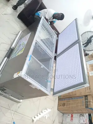 Snowsea 520l Deep Freezer – Powerful Compressor