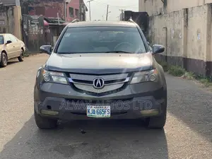 Acura MDX 2009 Gray