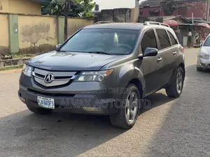 Acura MDX 2009 Gray