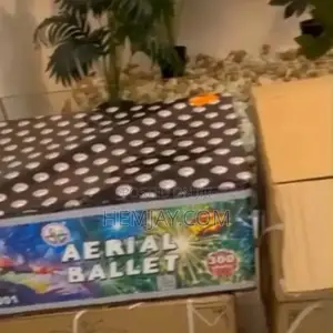 300shot Fireworks Knockout Banger. (2025 Latest Colorful Shot)