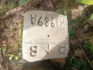 3 Plots in Ochudo City, Centinary City for Sale