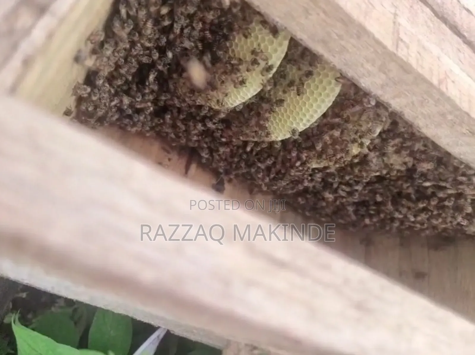 Original Honey