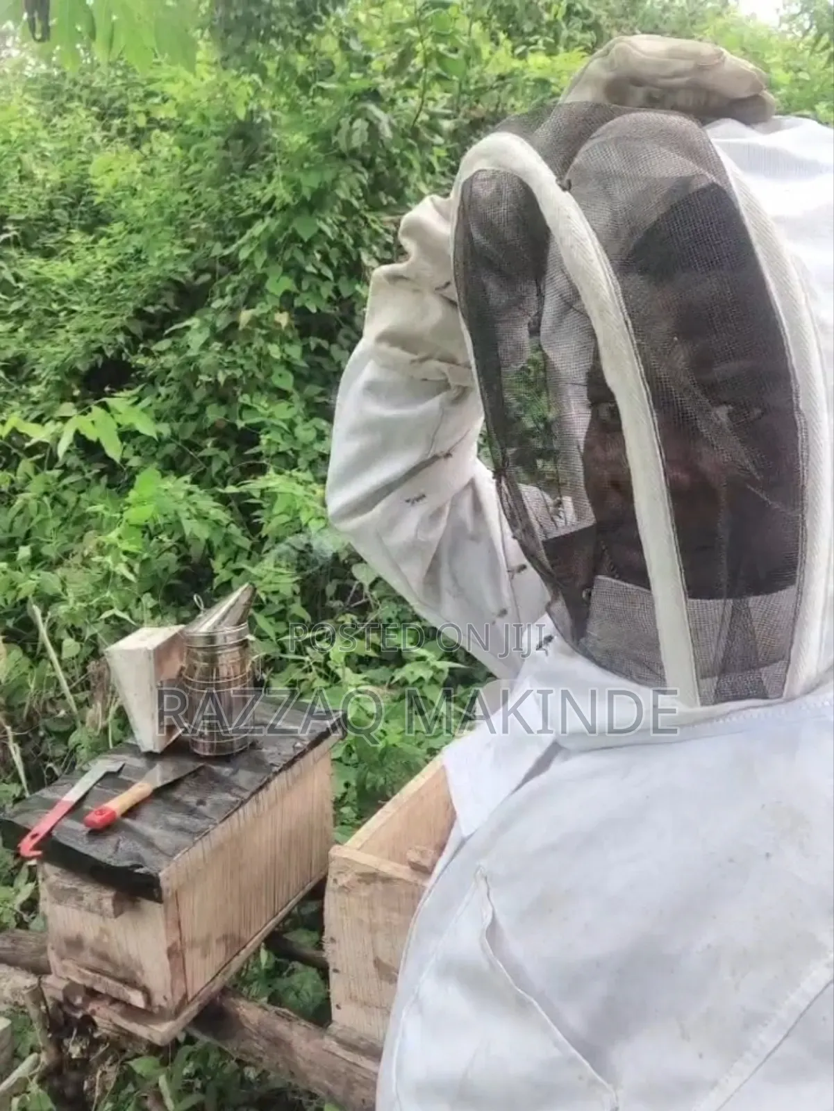 Original Honey