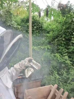 Original Honey