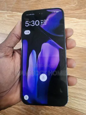 Google Pixel 9 Pro XL 256 GB Gray
