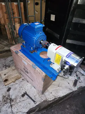 Stainless Steel Rotary Lobe Pump 5hp (Inlet 2 Inches Outlet 2 Inches)