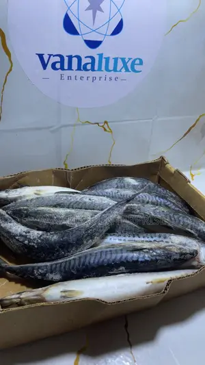 Fresh and Frozen Titus Fish