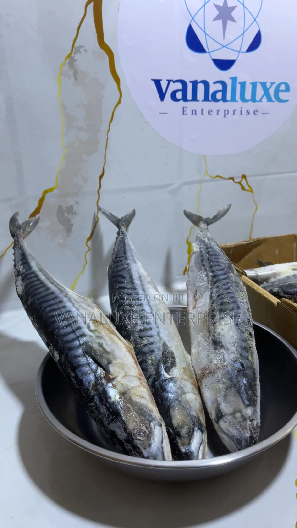 Fresh and Frozen Titus Fish